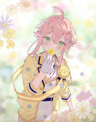 1boy ahoge belt black_belt blue_flower blurry blurry_background blush covering_own_mouth ensemble_stars! flower gloves green_eyes hair_flower hair_ornament hand_up highres himemiya_tori holding holding_flower jacket long_sleeves looking_at_viewer male_focus medium_hair panties pink_flower pink_hair ribbon rice_(rice8p) shirt solo underwear vest white_flower white_gloves white_panties white_shirt white_vest yellow_flower yellow_jacket yellow_ribbon