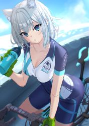Rule 34 | 1girl, animal ear fluff, animal ears, blue archive, blue eyes, blush, breasts, cleavage, collarbone, deca purio, extra ears, grey hair, looking at viewer, medium breasts, medium hair, open mouth, shiroko (blue archive), shiroko (cycling) (blue archive), thighs, wolf ears