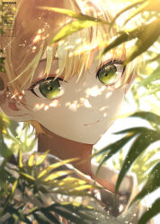 Rule 34 | 1girl, artist name, blonde hair, blurry, blurry foreground, close-up, closed mouth, commentary request, english text, green eyes, hair between eyes, head out of frame, leaf, looking at viewer, original, portrait, shadow, shiromine kana, smile, solo, sunlight, watermark