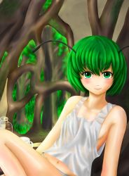 Rule 34 | 1girl, antennae, bare legs, bare shoulders, bottle, breasts, cup, green eyes, green hair, highres, lips, looking at viewer, matching hair/eyes, navel, reclining, redoredo (godprogress), short hair, sideboob, small breasts, solo, tank top, touhou, underwear, underwear only, wet, wriggle nightbug