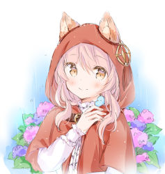 Rule 34 | 1girl, animal, animal ear fluff, animal ears, bird, bluebird, blush, brown eyes, capelet, closed mouth, commentary request, day, flower, hair between eyes, hand up, hood, hood up, hooded capelet, hydrangea, long sleeves, original, outdoors, pink flower, pink hair, purple flower, rain, red capelet, shirt, sleeves past wrists, smile, solo, upper body, wataame27, white shirt, wolf-chan (wataame27), wolf ears