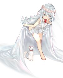 Rule 34 | 1girl, absurdres, ass cutout, b b b b66, barefoot, blood, blood bag, blush, bow, bowing, bowtie, cape, cape lift, clothing cutout, commentary, detached sleeves, dress, ferret, flower, full body, girls&#039; frontline, grey eyes, head wreath, highres, huge filesize, lace sleeves, long hair, mouth hold, mujinbensin, red bow, red bowtie, ribeyrolles (girls&#039; frontline), shadow, short dress, short sleeves, silver hair, solo, wedding dress, white background, white cape, white dress, white flower, white theme
