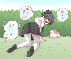 Rule 34 | 1girl, :d, all fours, anzio school uniform, arm support, beret, black footwear, black hair, black hat, black skirt, blush, braid, brown eyes, bush, cat, commentary, day, dress shirt, fang, flying sweatdrops, from behind, girls und panzer, grass, hand on own hip, hat, issho ni oyasumi, kneeling, leaning forward, loafers, long sleeves, miniskirt, open mouth, outdoors, pantyhose, pepperoni (girls und panzer), pleated skirt, school uniform, shirt, shoes, short hair, side braid, skirt, smile, solo, spoken flying sweatdrops, spoken sweatdrop, sweatdrop, translated, v-shaped eyebrows, white pantyhose, white shirt