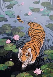 Rule 34 | animal, chinese zodiac, highres, lily pad, nature, no humans, original, striped fur, tiger, wading, water, water lily flower, year of the tiger, yueko (jiayue wu)