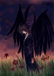 Rule 34 | 00s, 1boy, autumn leaves, black coat, black hair, black wings, coat, feathered wings, flower, from side, grass, haruka (tactics), leaf, male focus, maple leaf, outdoors, profile, sky, solo, spider lily, standing, tactics, twilight, wings