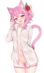 Rule 34 | 1girl, absurdres, adjusting hair, animal ears, blush, breasts, cat ears, cat tail, cleft of venus, collar, covered erect nipples, fang, flower, hair flower, hair ornament, highres, kemonomimi mode, looking at viewer, navel, nijisanji, nijisanji en, nose blush, open clothes, panties, panty pull, pink hair, plant, pussy, red flower, red rose, rose, rosemi lovelock, see-through, shirt, short sidetail, simple background, sleepypudding, small breasts, smile, sweat, tail, underwear, virtual youtuber, wet, wet clothes, white background, white shirt