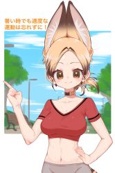 Rule 34 | 1girl, animal ears, blonde hair, blue sky, cat ears, cat girl, cat tail, choker, extra ears, highres, kemono friends, looking at viewer, navel, notora, pants, serval (kemono friends), shirt, short hair, simple background, sky, solo, summer, sweat, t-shirt, tail, yellow eyes