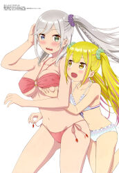 Rule 34 | 2girls, absurdres, bikini, blonde hair, blue eyes, braid, breasts, collarbone, flat chest, grabbing, grabbing another&#039;s breast, green eyes, grey hair, hair between eyes, hair ornament, hair scrunchie, henjin no salad bowl, heterochromia, highres, large breasts, long hair, looking at another, magazine scan, megami magazine, multicolored hair, multiple girls, navel, o-ring, o-ring bikini, official art, open mouth, pink hair, red bikini, sara da odin, scan, scrunchie, side-tie bikini bottom, sidelocks, smile, standing, streaked hair, swimsuit, twintails, two-tone hair, wavy mouth, white background, yellow eyes, yuri