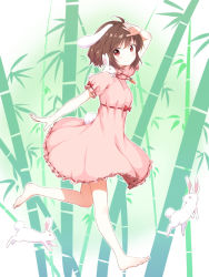 Rule 34 | 1girl, animal, animal ears, arm up, bamboo, bamboo forest, barefoot, blush, brown hair, carrot, dress, forest, full body, gradient background, highres, inaba tewi, jewelry, looking at viewer, nature, necklace, nekoze, pink dress, puffy sleeves, rabbit, rabbit ears, rabbit girl, rabbit tail, red eyes, short hair, short sleeves, smile, solo, striped, striped background, tail, touhou