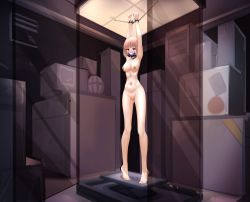 Rule 34 | 1girl, absurdres, arms up, bound, bound wrists, glass container, highres, nude, slave, tagme, tears, vv sxx