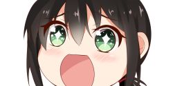 Rule 34 | + +, 10s, 1girl, black hair, close-up, fubuki (kancolle), green eyes, kantai collection, looking at viewer, low ponytail, nahaki, no nose, open mouth, ponytail, portrait, short ponytail, sidelocks, simple background, sin-poi, solo, sparkling eyes, symbol-shaped pupils, white background