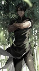 Rule 34 | 1boy, bamboo, bamboo forest, black hair, black shirt, blackbox (blackbox9158), blouse, cowboy shot, crossed arms, forest, highres, light particles, light rays, looking at viewer, male focus, nature, omniscient reader&#039;s viewpoint, serious, shirt, sleeves rolled up, solo, sunbeam, sunlight, tagme, toned, toned male, wind, yoo joonghyuk