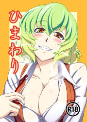 Rule 34 | 1girl, blush, breasts, brown eyes, cleavage, collar tug, collarbone, cover, cover page, green hair, grin, h-new, kazami yuuka, large breasts, looking at viewer, open clothes, open shirt, open vest, shirt, smile, smug, solo, sweat, touhou, translated, unbuttoned, upper body, vest