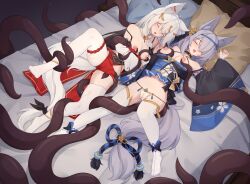 Rule 34 | 2girls, animal ear fluff, animal ears, black sleeves, blue dress, breasts, closed eyes, commentary, commission, detached sleeves, dress, english commentary, female ejaculation, female ejaculation through clothes, fox ears, fox girl, grey hair, highres, large breasts, long hair, lying, multiple girls, nipples, no shoes, on back, on bed, open mouth, original, panties, pillow, red dress, sleep molestation, tentacles, thighhighs, trimbil, underwear, variant set, white panties, white sleeves, white thighhighs