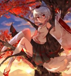 Rule 34 | 1girl, animal ears, bare shoulders, black skirt, closed mouth, cloud, cloudy sky, detached sleeves, flip-flops, full body, highres, in tree, inubashiri momiji, leaf, lll iv v, maple leaf, pom pom (clothes), red eyes, sandals, shirt, short hair, sitting, sitting in tree, skirt, sky, smile, socks, solo, sun, sunset, tail, touhou, tree, white hair, white shirt, white sleeves, white socks, wolf ears, wolf girl, wolf tail