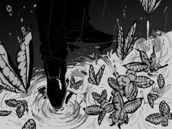 Rule 34 | 1boy, bug, butterfly, funeral of the dead butterflies, greyscale, highres, insect, lobotomy corporation, lower body, maskv, monochrome, pants, project moon, rain, ripples, shoes, water