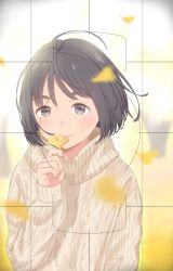 Rule 34 | 1girl, aran sweater, arm at side, autumn, autumn leaves, black hair, blurry, blurry background, blurry foreground, blush, bob cut, brown eyes, cable knit, closed mouth, commentary, depth of field, falling leaves, ginkgo leaf, hand to own mouth, highres, holding, holding leaf, kyak bamboo, leaf, lips, long sleeves, looking at viewer, mochizuki chihiro, original, short hair, sleeves past wrists, smile, solo, sweater, thick eyebrows, turtleneck, upper body, viewfinder, white sweater, wind