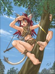 Rule 34 | 1990s (style), 1999, 1girl, amazon warrior, animal ears, animal print, artist request, barefoot, blush, bow, cat ears, cat girl, cat tail, climbing, fang, feet, female focus, full body, jungle, leopard print, leopard skin, loincloth, nature, no panties, open mouth, original, outdoors, plant, pussy, red hair, retro artstyle, skirt, sky, solo, source request, tail, tan, tree, tribal, uncensored, upskirt, wilderness