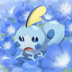 Rule 34 | animal focus, blue eyes, blue flower, blue skin, colored skin, commentary request, creatures (company), flower, game freak, gen 8 pokemon, highres, nintendo, no humans, open mouth, pleading eyes, pokemon, pokemon (creature), sobble, suimin ap (aroniumu), tail