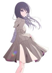 Rule 34 | 1girl, black hair, brown coat, closed mouth, coat, floating hair, from side, hand in pocket, long hair, long sleeves, looking at viewer, looking to the side, original, purple eyes, simple background, solo, suzume anko, white background, wide sleeves