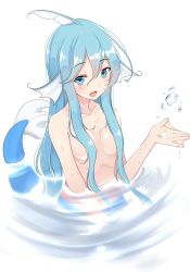 Rule 34 | 1girl, :d, blue eyes, blue hair, blush, breasts, collarbone, commentary request, completely nude, fins, hair between eyes, hair censor, hair over breasts, head fins, highres, kiyomin, long hair, looking at viewer, medium breasts, mermaid, monster girl, nude, open mouth, original, partially submerged, sidelocks, smile, solo, very long hair, water, webbed hands, wet, white background