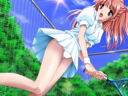 Rule 34 | 1girl, breasts, brown eyes, chain-link fence, cloud, fence, game cg, hair ornament, holding, kurono (game illustrator), light rays, long hair, looking at viewer, meippai athlete, open mouth, panties, puffy sleeves, racket, red hair, shirt, short sleeves, skirt, sky, small breasts, smile, solo, sparkle, sportswear, sun, sunbeam, sunlight, tennis, tennis racket, tennis uniform, toyonoka ichigo, tree, twintails, underwear, upskirt, white panties, white shirt, white skirt, wristband