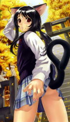 Rule 34 | 1girl, animal ears, ass, autumn, black hair, cat, cat ears, cat tail, clothes lift, eiwa, leaf, long hair, looking back, plaid, plaid skirt, ponytail, red eyes, school uniform, serafuku, skirt, skirt lift, solo, stairs, sweater, sweater vest, tail, torii
