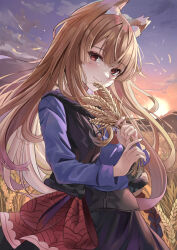 Rule 34 | 1girl, animal ear fluff, animal ears, backlighting, black skirt, black vest, blue shirt, blunt bangs, blush, brown hair, closed mouth, commentary, cowboy shot, eyelashes, floating hair, fur-trimmed vest, fur trim, hands up, highres, holding wheat, holo, long hair, long sleeves, looking at viewer, mountainous horizon, open clothes, open vest, outdoors, red eyes, shirt, skirt, smile, solo, spice and wolf, straight hair, suidou chaahan, sun, sunlight, sunset, tsurime, very long hair, vest, wheat, wheat field, wind, wolf ears, wolf girl