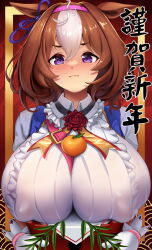 Rule 34 | 1girl, @ @, ahoge, animal ears, between breasts, blush, box, breasts, brown hair, closed mouth, collared shirt, commentary request, dress, food, frilled dress, frills, fruit, gloves, gold border, hair between eyes, hair ornament, highres, holding, holding box, horse ears, horse girl, large breasts, looking at viewer, mandarin orange, meisho doto (umamusume), multicolored hair, nipples, puffy short sleeves, puffy sleeves, purple eyes, red background, see-through, shirt, short sleeves, simple background, solo, strap between breasts, streaked hair, translation request, umamusume, upper body, white dress, white gloves, white hair, zzo0