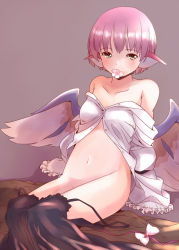 Rule 34 | 1girl, animal ears, bare shoulders, bird wings, breasts, brown background, collarbone, dress, flower, long sleeves, looking at viewer, mouth hold, mystia lorelei, navel, no panties, off shoulder, pink flower, pink hair, rangycrow, shirt, short hair, simple background, sitting, small breasts, solo, touhou, undressing, white shirt, wings, yellow eyes