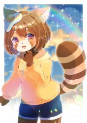 Rule 34 | 1girl, :d, animal ear fluff, animal ears, blue shorts, blurry, blurry background, breasts, brown eyes, brown hair, commission, depth of field, egg (food), food, food on head, fried egg, furry, furry female, hood, hood down, hoodie, kou hiyoyo, lens flare, long sleeves, looking at viewer, object on head, open mouth, original, puffy long sleeves, puffy sleeves, raccoon ears, raccoon girl, raccoon tail, short eyebrows, short shorts, shorts, skeb commission, small breasts, smile, solo, striped tail, tail, thick eyebrows, yellow hoodie