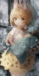 Rule 34 | 1girl, absurdres, animal ear fluff, animal ears, animal ears (norankkori), blonde hair, blue jacket, bow, bowtie, breath, center frills, cold, commentary, cup, disposable cup, extra ears, eyes visible through hair, frills, hair between eyes, highres, jacket, kemono friends, long sleeves, looking at viewer, off shoulder, print bow, print bowtie, print skirt, serval (kemono friends), serval print, shirt, short hair, skirt, sleeveless, sleeveless shirt, solo, tail, traditional bowtie, white shirt, window, winter, yellow eyes