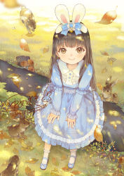 Rule 34 | 1girl, animal, animal ears, black hair, blue bow, blue dress, blue footwear, blunt bangs, bobby socks, bow, brown eyes, dappled sunlight, dress, fake animal ears, footwear bow, frilled dress, frilled sleeves, frills, from above, full body, grass, hair bow, lace, leaf, lolita fashion, long hair, long sleeves, looking at viewer, looking up, original, outdoors, polka dot, polka dot bow, polka dot dress, rabbit, rabbit ears, shoes, sitting, smile, socks, solo, sunlight, watermark, web address, white socks, xiangtu