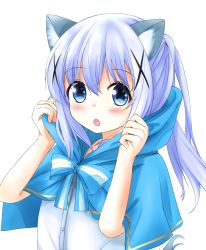 Rule 34 | 1girl, :o, adjusting clothes, animal ears, blue bow, blue capelet, blue eyes, blue hair, blush, bow, buttons, capelet, commentary request, fang, gochuumon wa usagi desu ka?, hagakuri, hair between eyes, hair ornament, hairclip, highres, hood, hooded capelet, kafuu chino, kemonomimi mode, light blue hair, long hair, looking at viewer, open mouth, ponytail, shirt, sidelocks, simple background, solo, striped, striped bow, upper body, white background, white shirt, wolf ears, x hair ornament