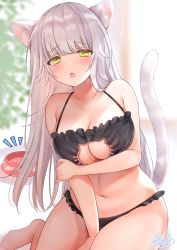 Rule 34 | 1girl, animal ear fluff, animal ears, black panties, blush, bra, breasts, cat cutout, cat day, cat ears, cat girl, cat lingerie, cat tail, cleavage, cleavage cutout, clothing cutout, frilled bra, frills, green eyes, highres, holding own arm, large breasts, long hair, looking at viewer, meme attire, navel, neco meito, open mouth, original, panties, silver hair, sitting, solo, tail, underwear, underwear only