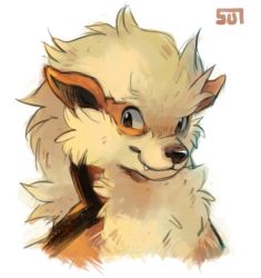 Rule 34 | arcanine, closed mouth, creatures (company), game freak, gen 1 pokemon, looking at viewer, nintendo, no humans, pokemon, pokemon (creature), portrait, signature, simple background, sui (suizilla), white background