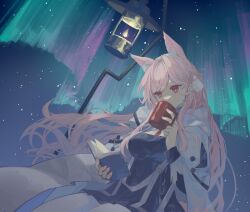 Rule 34 | 1girl, animal ears, arknights, aurora, black dress, book, breasts, cowboy shot, cup, dress, extra ears, holding, holding book, holding cup, jacket, lantern, large breasts, long hair, long sleeves, miike (992058), mug, night, night sky, official alternate costume, open book, outdoors, pink hair, pozyomka (arknights), pozyomka (snowy plains in words) (arknights), reading, red eyes, sitting, sky, solo, star (sky), starry sky, thighs, very long hair, white jacket, wolf ears, wolf girl