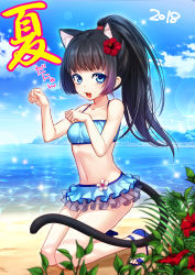 Rule 34 | 1girl, 2018, absurdres, animal ears, arms up, beach, bikini, bikini skirt, black hair, blue bikini, blue eyes, cat ears, cat tail, cloud, commentary request, day, elin, flower, hair flower, hair ornament, high heels, highres, kneeling, long hair, mugen618, navel, ocean, open mouth, outdoors, paw pose, ponytail, shoes, sky, smile, solo, swimsuit, tail, tera online, water