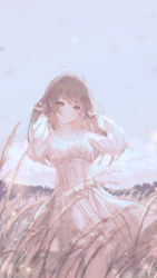 Rule 34 | 1girl, ahoge, blurry, blurry background, blush, breasts, brown eyes, brown hair, closed mouth, collarbone, day, dress, dutch angle, feet out of frame, hands in hair, hands up, highres, long hair, long sleeves, looking at viewer, original, outdoors, ribbon, sky, small breasts, smile, solo, standing, sul ( 20sub), tree, wheat field, white dress, white ribbon