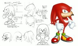 Rule 34 | 1boy, character profile, character sheet, clenched hands, full body, gloves, knuckles the echidna, looking at viewer, multiple views, official art, sega, smile, sonic (series), turnaround, white gloves