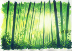Rule 34 | bamboo, bamboo forest, border, dappled sunlight, day, forest, green theme, nature, original, outdoors, sawitou mizuki, scenery, sunlight, traditional media, white border