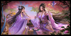 Rule 34 | 2girls, absurdres, bird, birdcage, breasts, cage, character request, desert, dress, flower, flying, hair flower, hair ornament, highres, large breasts, legend of the three kingdoms, long hair, looking down, multiple girls, plate, purple dress, railing, sash, sitting, string, yiqian zhang