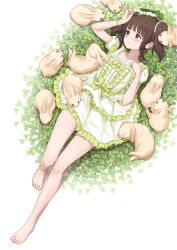 Rule 34 | 1girl, absurdres, arm up, bare legs, barefoot, blunt bangs, blush, bow, breasts, brown eyes, brown hair, closed mouth, clover, collarbone, dress, ecoheeky kimos, feet, frilled dress, frills, from above, green bow, green dress, hand up, head wreath, highres, holding, idolmaster, idolmaster cinderella girls, knee up, legs, looking to the side, lying, medium hair, ogata chieri, on back, puffy short sleeves, puffy sleeves, rabbit, shadow, short dress, short sleeves, sidelocks, small breasts, solo, thighs, toenails, toes, twintails, white dress