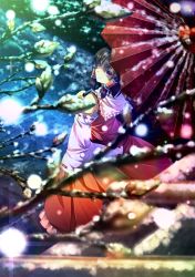 Rule 34 | 1girl, bare shoulders, black hair, detached sleeves, female focus, hair tubes, hakurei reimu, japanese clothes, looking up, miko, nature, oil-paper umbrella, perfect cherry blossom, purple eyes, ryosios, short hair, snow, solo, touhou, tree, umbrella