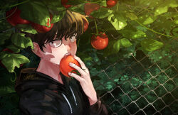 Rule 34 | 1boy, aya shiro423, black eyes, black hair, black hoodie, chain-link fence, dated, day, eating, fence, food, highres, holding, holding food, hood, hood down, hoodie, kageyama shigeo, looking at viewer, male focus, mob psycho 100, open mouth, outdoors, short hair, solo, tomato, wet