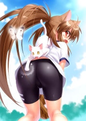 Rule 34 | 1girl, ahoge, animal ears, ass, baseball, baseball glove, bike shorts, blush, brown hair, bug, butterfly, cat, cat ears, day, fang, from behind, gym uniform, bug, lennon, little busters!, long hair, looking back, natsume rin, open mouth, outdoors, ponytail, profile, red eyes, spanked, spanking, very long hair, yellow eyes, zen