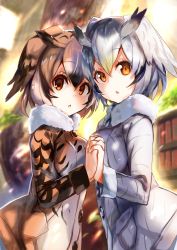 Rule 34 | 10s, 2girls, amamitsu kousuke, bad id, bad twitter id, bookshelf, brown eyes, brown hair, chestnut mouth, commentary request, day, eurasian eagle owl (kemono friends), feathered wings, from side, fur trim, hair between eyes, head wings, highres, holding hands, interlocked fingers, jacket, kemono friends, long sleeves, looking at viewer, multiple girls, northern white-faced owl (kemono friends), open mouth, orange eyes, short hair, silver hair, sunlight, symmetrical hand pose, tree, upper body, wings