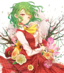 Rule 34 | 1girl, ;), ascot, blush, breasts, cowboy shot, flower, from side, green hair, kazami yuuka, konnyaku (yuukachan 51), leaf, long sleeves, looking at viewer, looking to the side, medium breasts, one eye closed, open clothes, open vest, parasol, parted lips, plaid, plaid skirt, plaid vest, plant, red eyes, skirt, skirt set, smile, solo, touhou, umbrella, vest, vines, wind