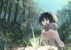 Rule 34 | 2girls, animal ears, bamboo, bamboo forest, black hair, bloomers, blue sky, carrot, coin, day, dress, forest, gold, hat, hat ribbon, ichiba youichi, inaba tewi, jewelry, koban (gold), komeiji koishi, multiple girls, nature, necklace, open mouth, pendant, pink dress, puffy short sleeves, puffy sleeves, rabbit ears, red eyes, ribbon, shirt, short sleeves, shovel, silver hair, sky, squatting, touhou, underwear, upskirt, worktool
