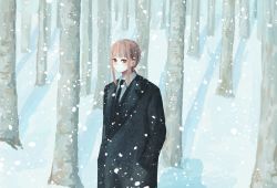 Rule 34 | 1girl, black coat, black suit, blush, braid, brown eyes, brown hair, chainsaw man, coat, coco ter, collared shirt, eyelashes, forest, formal, hands in pockets, highres, long coat, long hair, long sleeves, looking at viewer, makima (chainsaw man), nature, necktie, shirt, shueisha, sleeves past elbows, snow, snowing, solo, suit, tree, unusual pupils, white shirt, winter